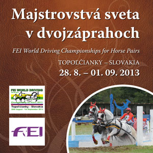 FEI WORLD DRIVING Championship for Pairs 2013