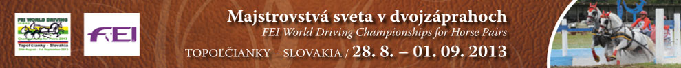 FEI WORLD DRIVING Championship for Pairs 2013