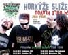 TOPFEST 2010 Presents Hork��e Sl�e Tour