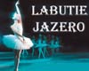 vstupenky na Rusk� N�rodn� Balet - Labutie jazero