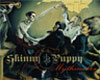 vstupenky na Skinny Puppy