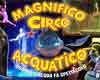 vstupenky na Cirkus ACQUATICO