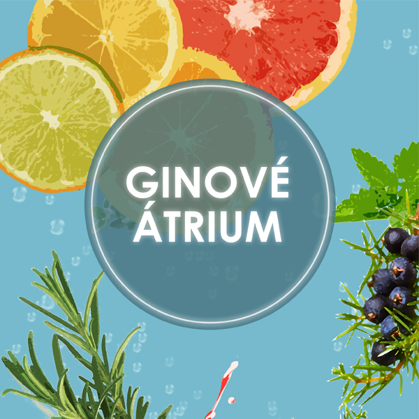 GINOVÉ ÁTRIUM