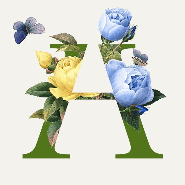 HORTUS ARTIS 2022 / SAXOPHONE CONNECTIONS