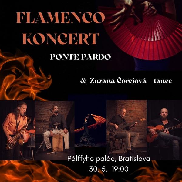 Ponte Pardo v Pálffyho paláci