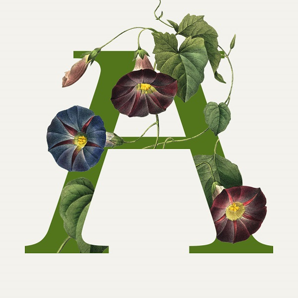 HORTUS ARTIS 2024 / THE STORY