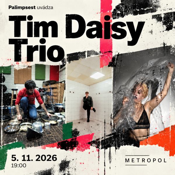 Tim Daisy Trio