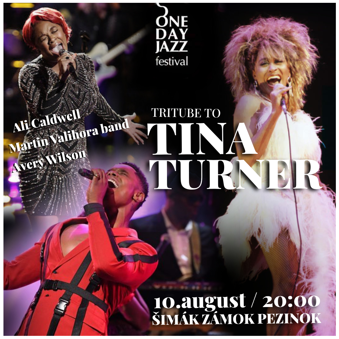 One day JAZZ festival na zámku - Tribute to Tina TURNER