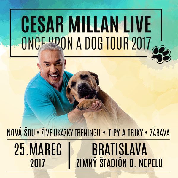 CESAR MILLAN LIVE