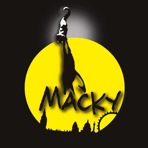 Mačky