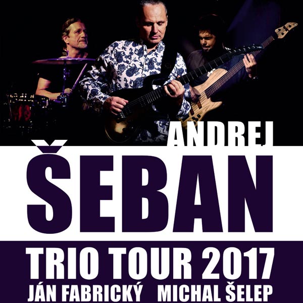 Koncert Andreja Šebana